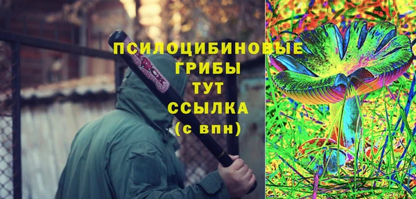 дживик Володарск