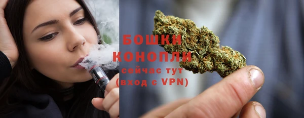 дживик Володарск