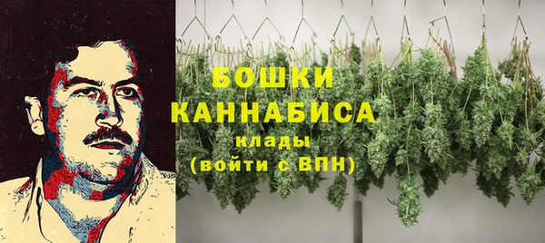 дживик Володарск