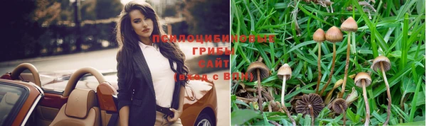 дживик Володарск