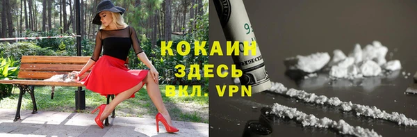 дживик Володарск